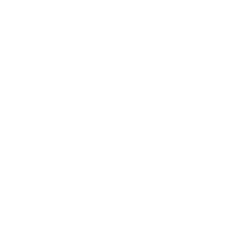 github link